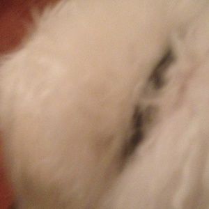 Meet your Posher, Sebastian