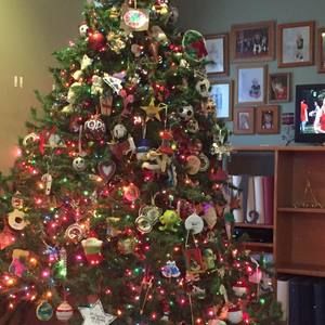 Meet your Posher, Dawn