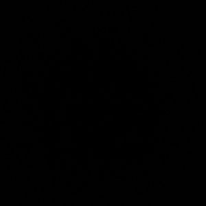 Meet your Posher, Artis