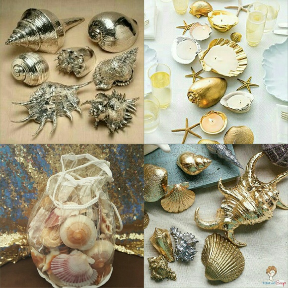 Z Gallery bag of Large Sea Shells