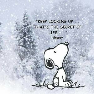 Meet your Posher, Tonya