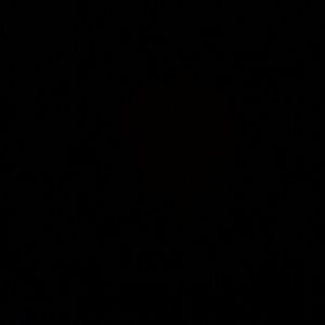 Meet your Posher, Shekeya