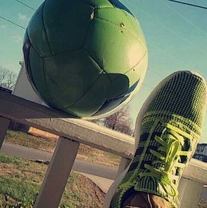 Meet your Posher, Donald