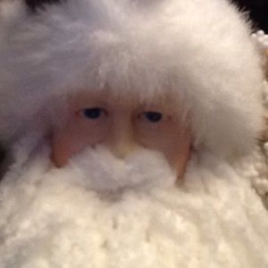 Meet your Posher, Robin