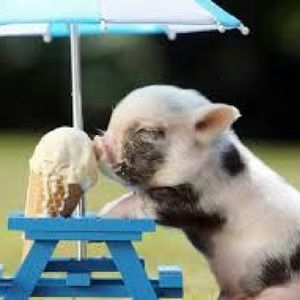 Meet your Posher, Makayla