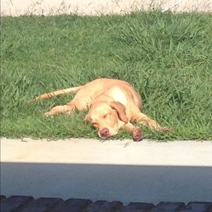 Meet your Posher, Kara