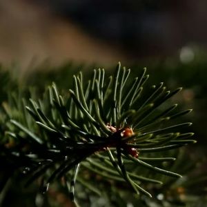 Meet your Posher, Damian