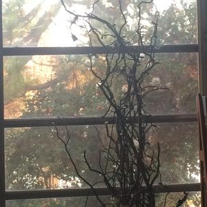 Meet your Posher, Elicia