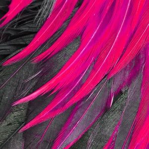 Meet your Posher, Steph