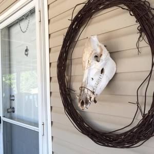 Meet your Posher, Lora