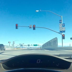 Meet your Posher, Daisy