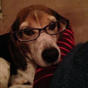 Meet your Posher, Melissa