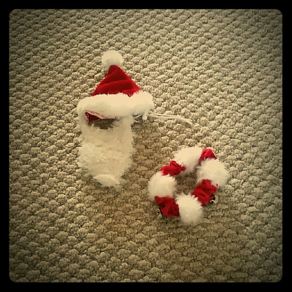 Santa Accessories for Dog