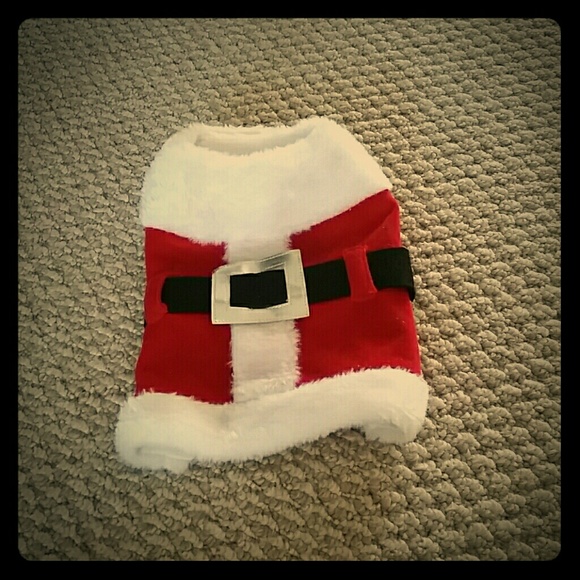 Santa outfit for Dog