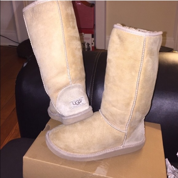 Tall Classic Uggs