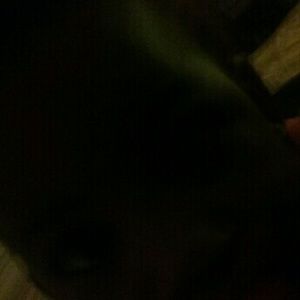 Meet your Posher, Karima