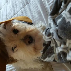 Meet your Posher, April