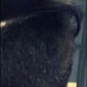 Meet your Posher, Nirav