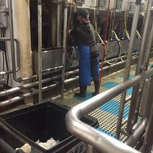 Meet your Posher, Alex