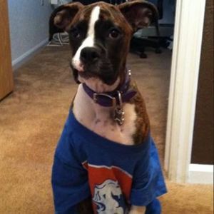 Meet your Posher, Melyssa