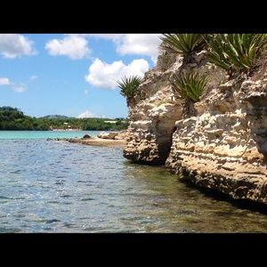 Meet your Posher, Dorothea