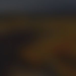 Meet your Posher, Cassie