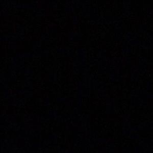 Meet your Posher, Jaylee