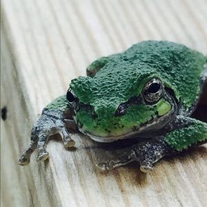 Meet your Posher, Crystal