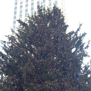 Meet your Posher, Jen