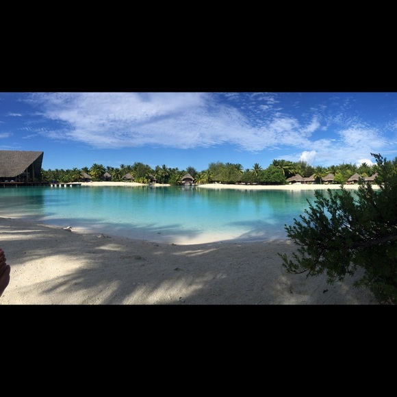 Meet your Posher, Teri - Picture 4 of 4