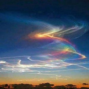 Meet your Posher, Wesley