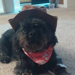 Meet your Posher, Angela