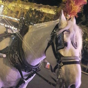 Meet your Posher, Rocio