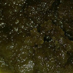 Meet your Posher, Liam