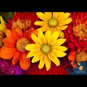 Meet your Posher, Floyd