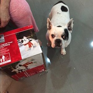 Meet your Posher, Jeannette