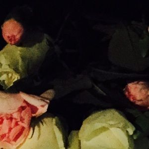 Meet your Posher, Erick