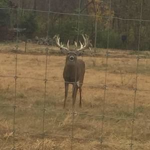 Meet your Posher, Jacob