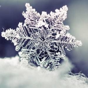 Meet your Posher, Jenifer