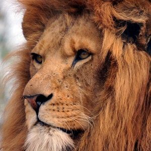 Meet your Posher, Edwin