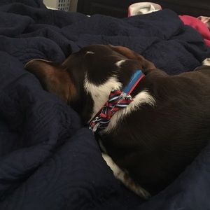 Meet your Posher, Dalton