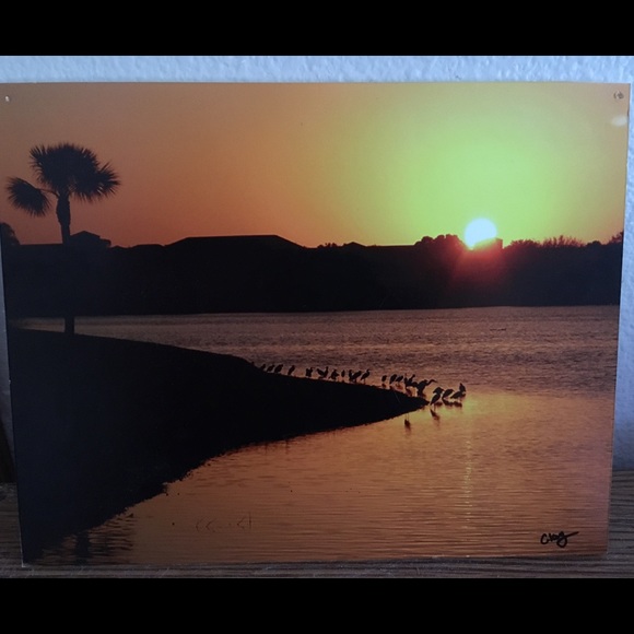 Florida Sunset
