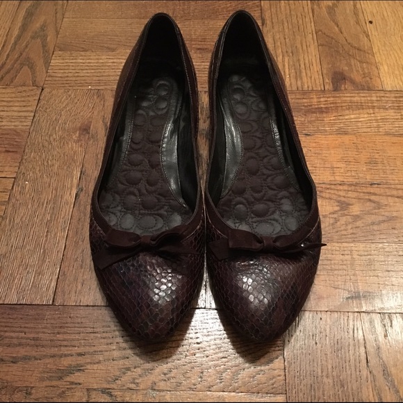 Coach Brown Snakeskin Kitten Heels