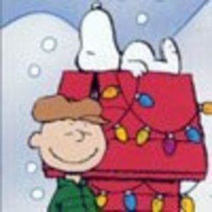 Meet your Posher, Bobbie