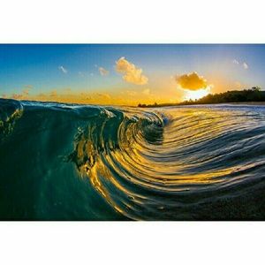 Meet your Posher, Jade