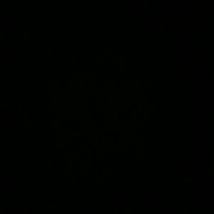 Meet your Posher, Dustin