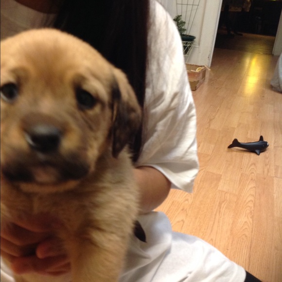 Meet your Posher, Karen