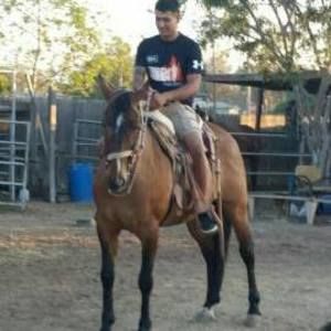 Meet your Posher, Eduardo