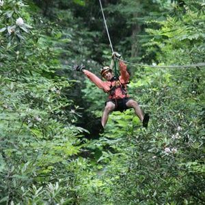 Meet your Posher, Adam