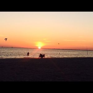 Meet your Posher, Emilio